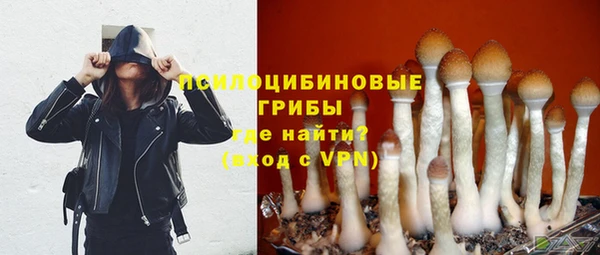 индика Алзамай