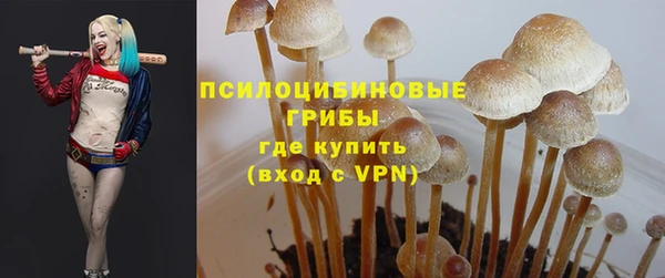 ешки Абаза