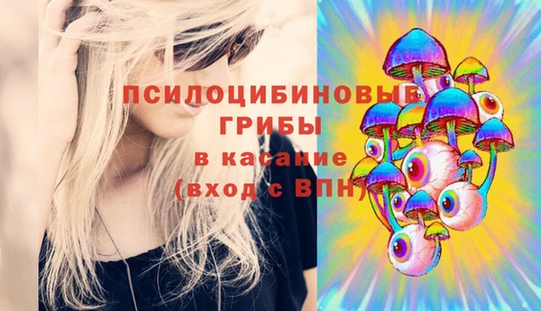 ешки Абаза