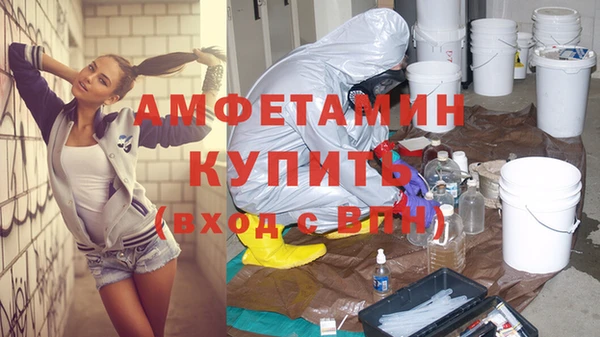 индика Алзамай