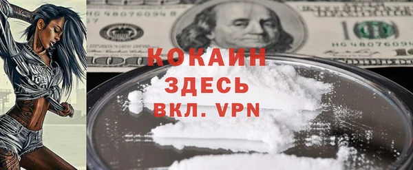 дживик Абинск