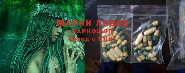 индика Алзамай